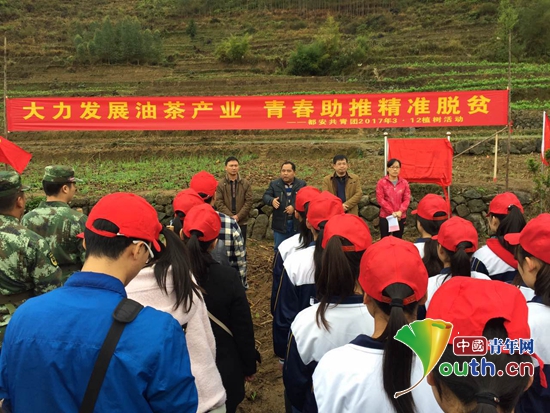 广西都安县志愿者发展油茶产业助推精准脱贫