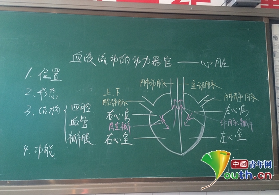 图为江南大学研支团成员杨蕾画的心脏结构图. 杨蕾 供图