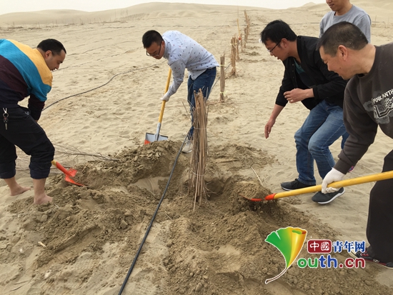 ͼΪ�Ĵ�ũҵ��ѧ��֧�ų�Ա�μӺ������ɳĮ���ֻ���Ĵ�ũҵ��ѧ��֧�� ��ͼ