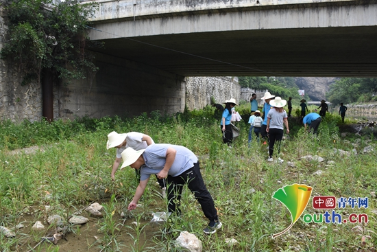 图为凤山县志愿者在河道内捡拾垃圾。凤山团县委 供图 图为凤山县志愿者在河道内捡拾垃圾。凤山团县委 供图