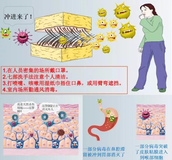 西部计划志愿者奋战抗疫一线 践初心显担当 大学生志愿服务西部计划 中国青年网