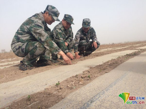 李进(中)与连队干部一起查看棉花出苗情况。李进 供图 李进(中)与连队干部一起查看棉花出苗情况。李进 供图